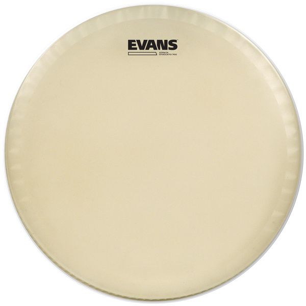 Evans 14" Strata Staccato 700