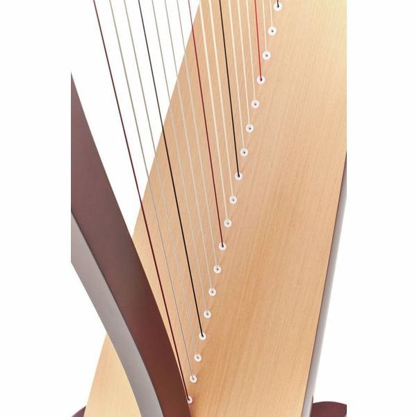 Lyon & Healy Drake LT Lever Harp Mahogany