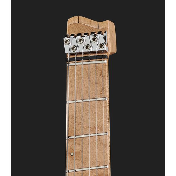 Strandberg Slen Classic NX TBS