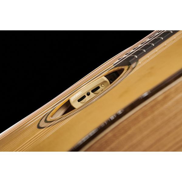 Lakewood D-30 European Wood