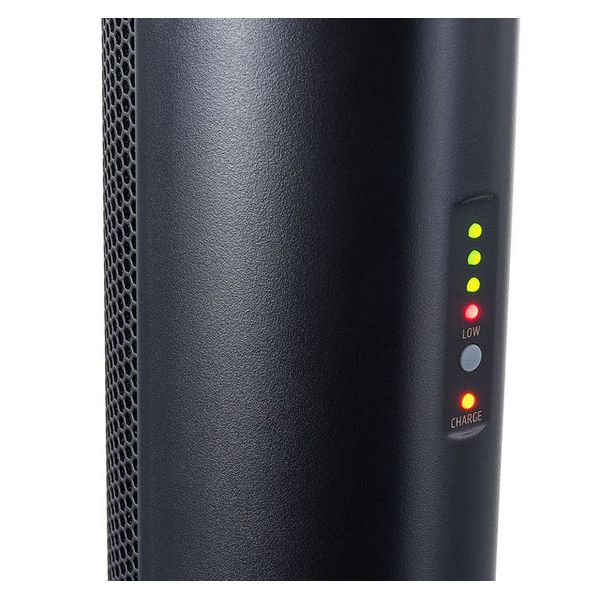 LD Systems Maui 5 Go 100 B