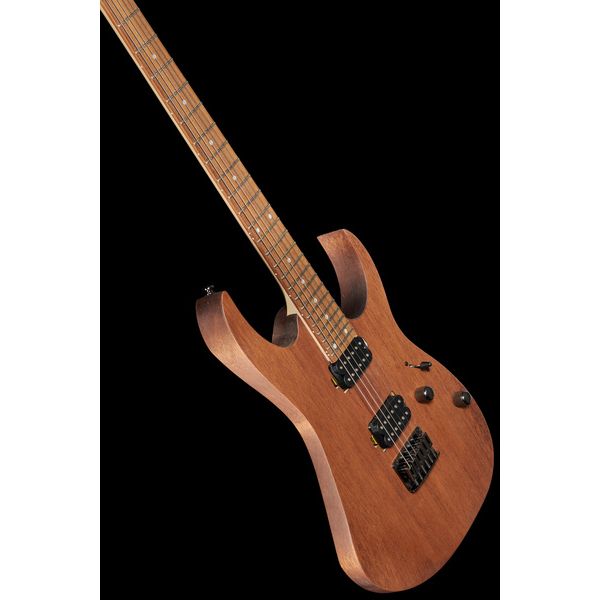 Ibanez RG421-MOL