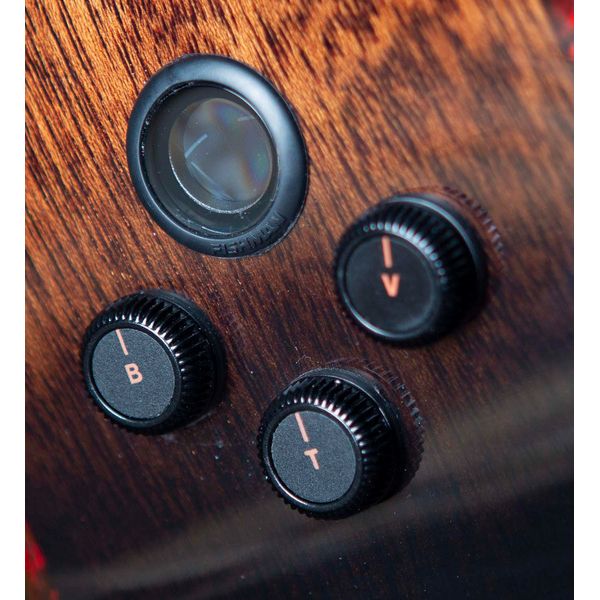 Breedlove Wildwood Pro Drdnght Conc CE