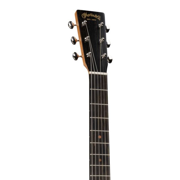 Martin Guitar D Bioshpere III