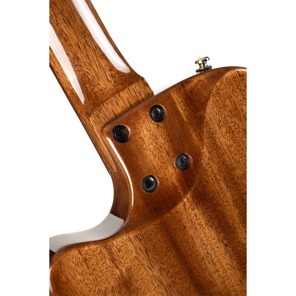 Cort Sunset Nylectric DLX