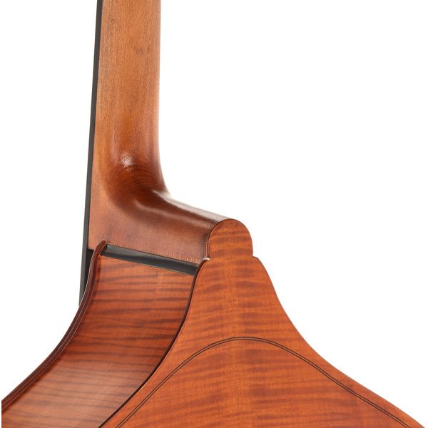 Gewa Europa Student Double Bass 1/2