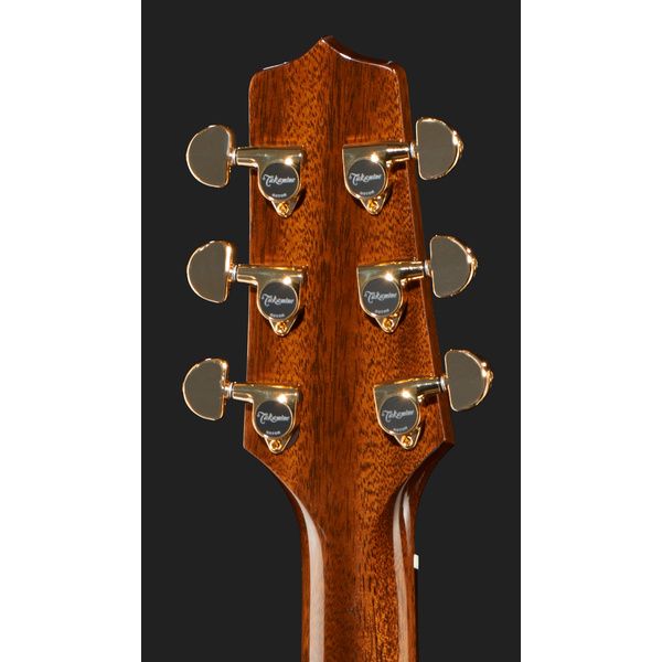 Takamine P5NC w/Softcase