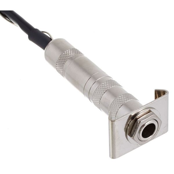 Fishman BP-100-B-Pickup