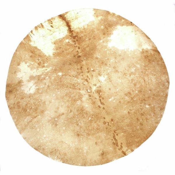 Afroton AF 781 Goat Skin 60cm