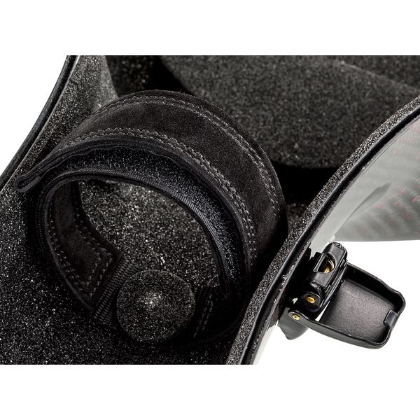 Alpha Case Alpha Carbon Cello Case RD 3D