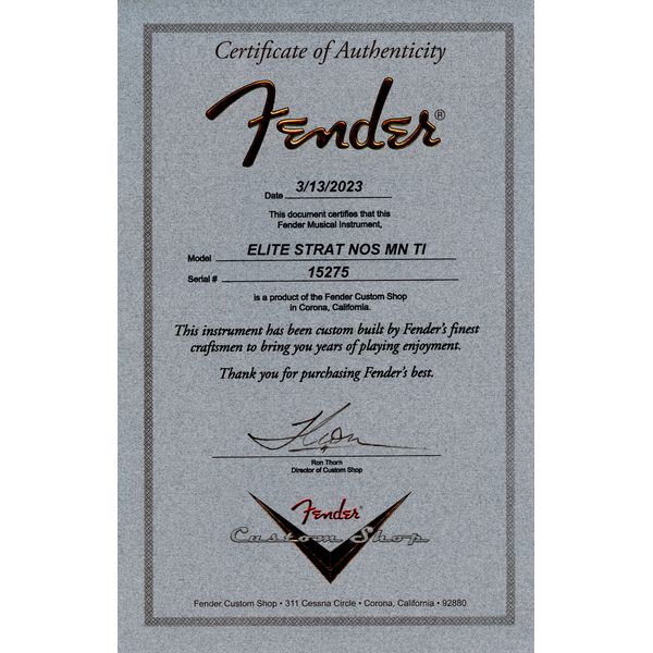 Fender Elite Strat MN QMT Tiger Eye