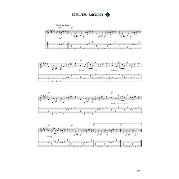 Voggenreiter Blues You Can Use