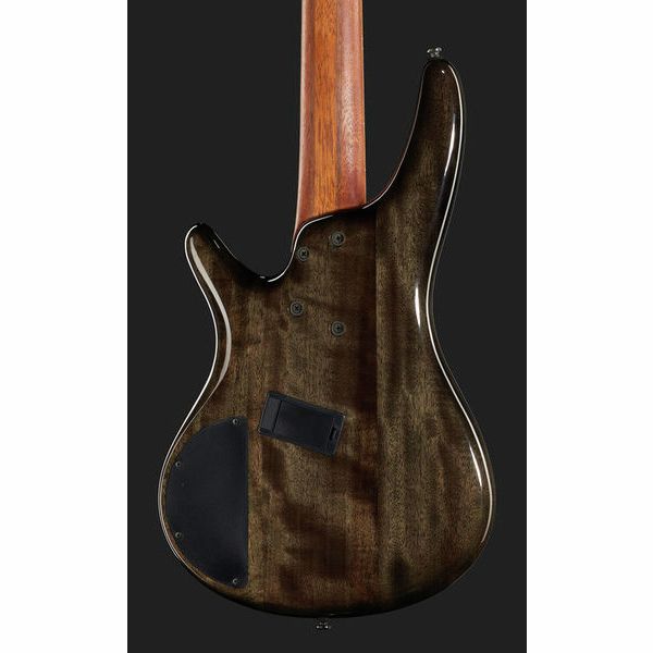 Ibanez SRMS805-DTW Workshop