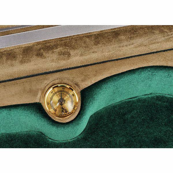 Artonus Elipe Violin Case 4/4 Z1