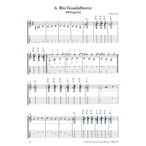 Acoustic Music Books Flamenco Esencial