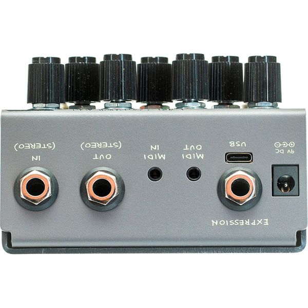 Old Blood Noise Endeavors Black Fountain Stereo Delay SL