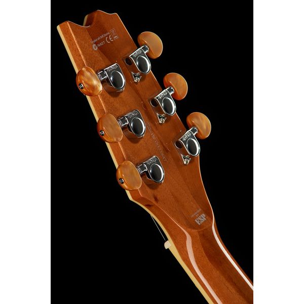 ESP LTD TL-6 Fm AQMB