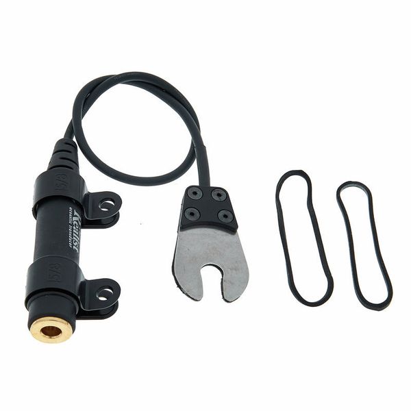 David Gage The Realist Regular Life Line