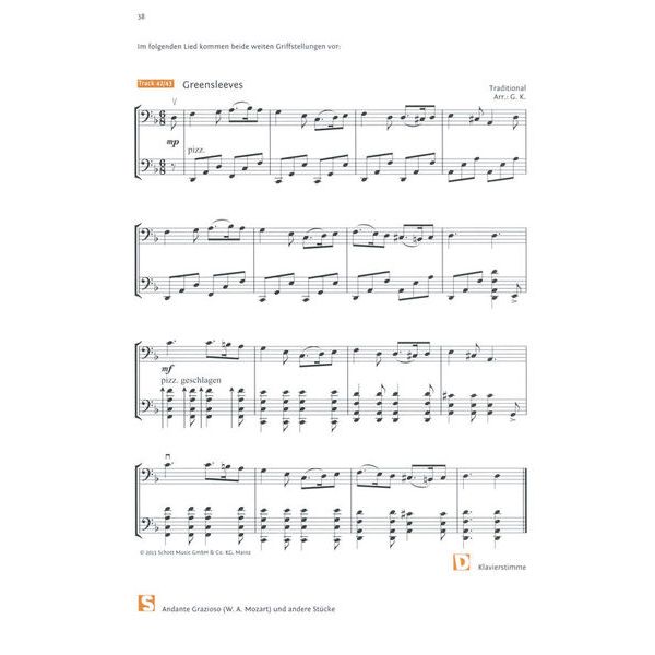 Schott Celloschule 2