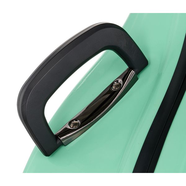 JW-eastman CE133 4/4 Cello Case PPG