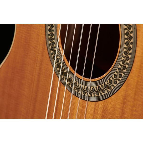 Alhambra 2C incl. Gig Bag