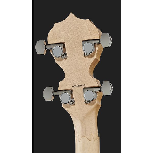 Deering Goodtime Banjo