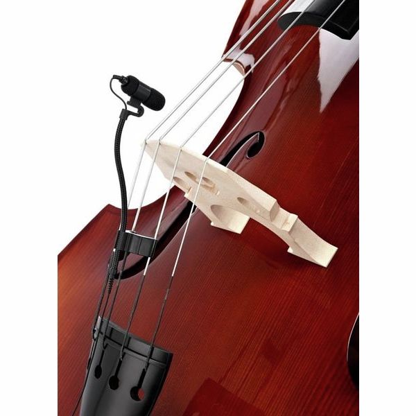 the t.bone Ovid System Bass Bundle