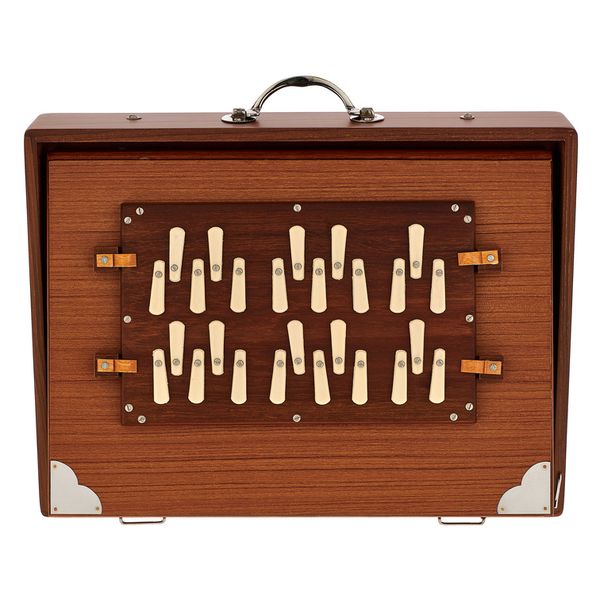 Thomann Nataraj Shruti 2 Octaves 432Hz