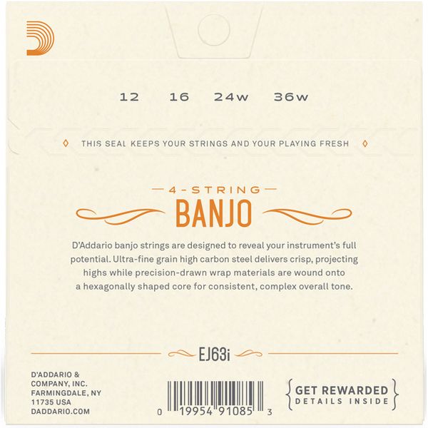 Daddario EJ63i Irish Tenor Banjo Set