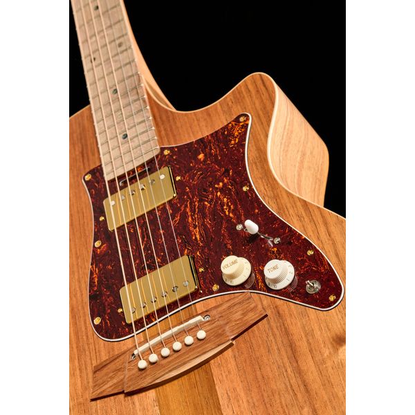 Cole Clark AN2EC-BLBL-HH