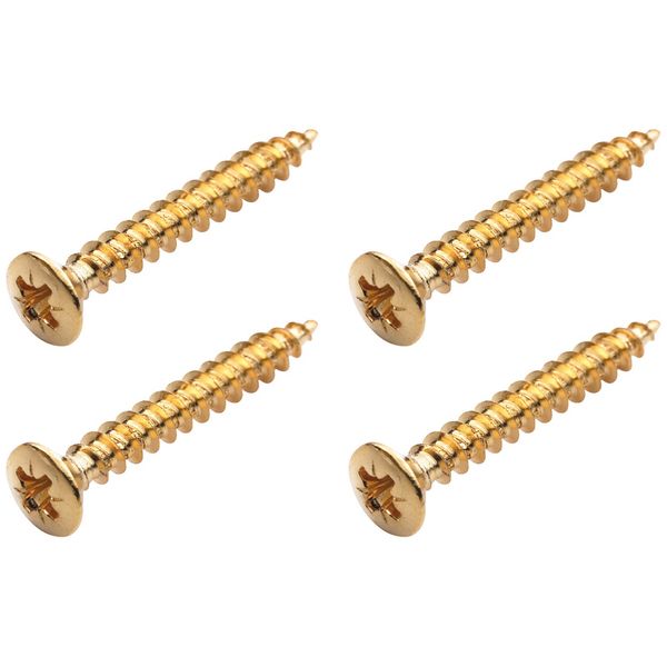Warwick Screws Bolt-On Necks/Gurt Gold