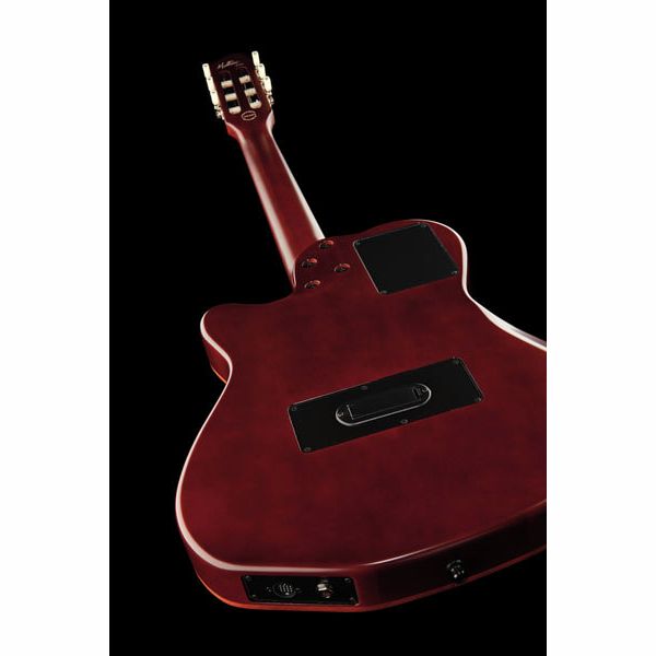 Godin ACS Nylon