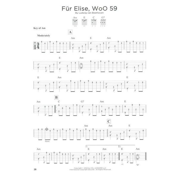 Hal Leonard Simple Fingerstyle Guitar