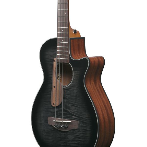 Ibanez AEGB25E-TKH