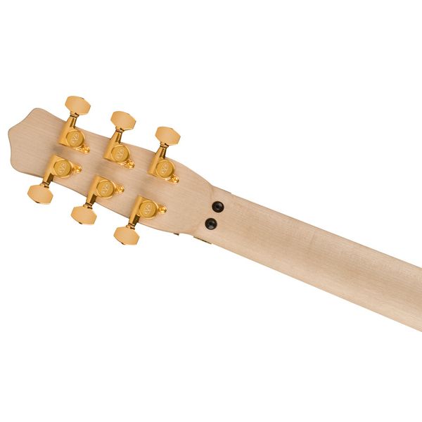 Evh Star LTD Ebony SBK w/ Gold