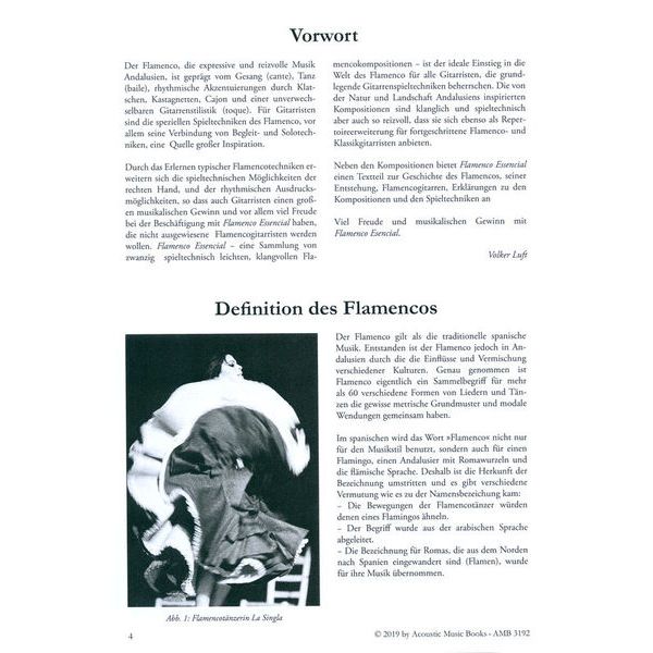 Acoustic Music Books Flamenco Esencial