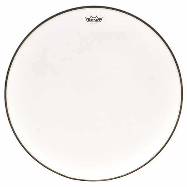 Remo 26 Renaissance Ambassador Bass