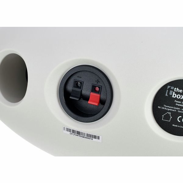 the box Oval 6 White