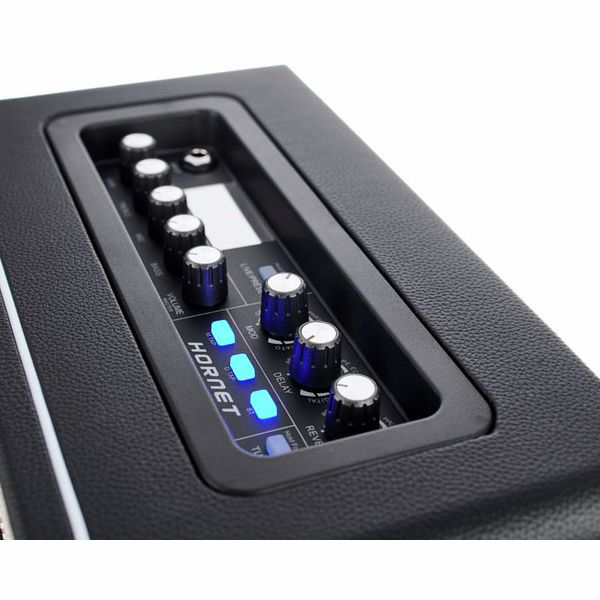 Mooer Hornet Modeling/BT Combo BLK