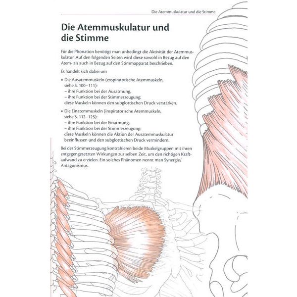 Helbling Verlag Anatomie der Stimme