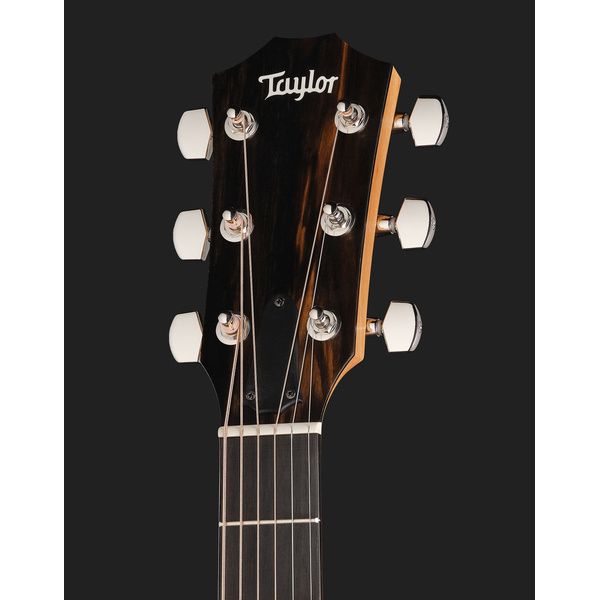Taylor 217e-SB Plus