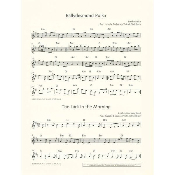 Schott The Irish Flute Book