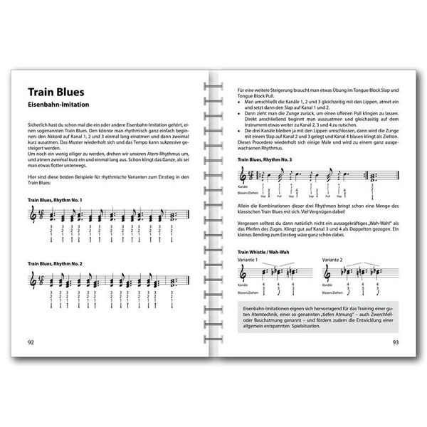 Voggenreiter Der Blues-Harp-Ratgeber