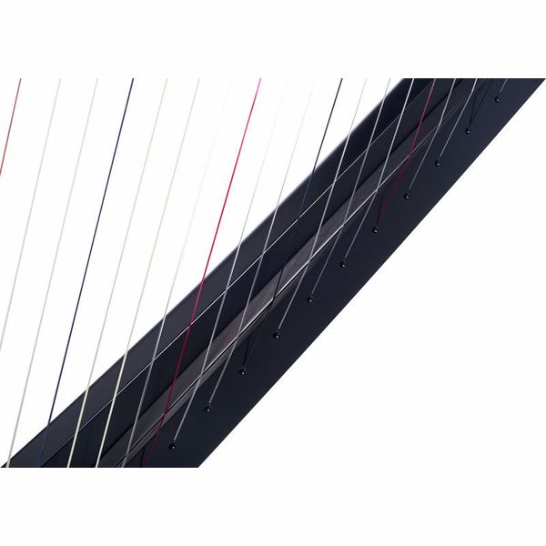 Salvi Delta Electric Harp Ebony