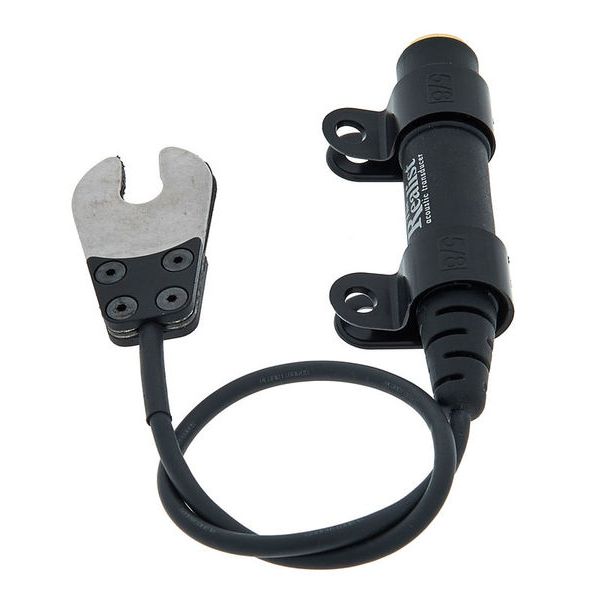 David Gage The Realist Regular Life Line