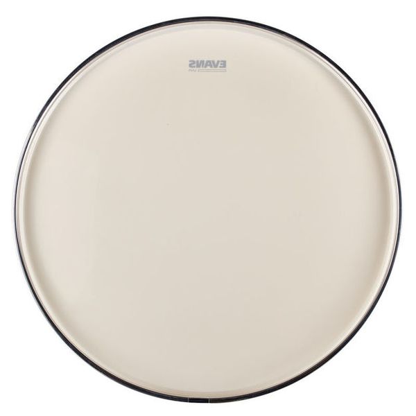 Evans 22" UV1 Coated Bass