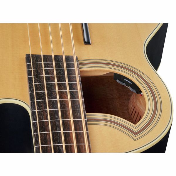 Warwick RB Alien Standard 5 FL NT