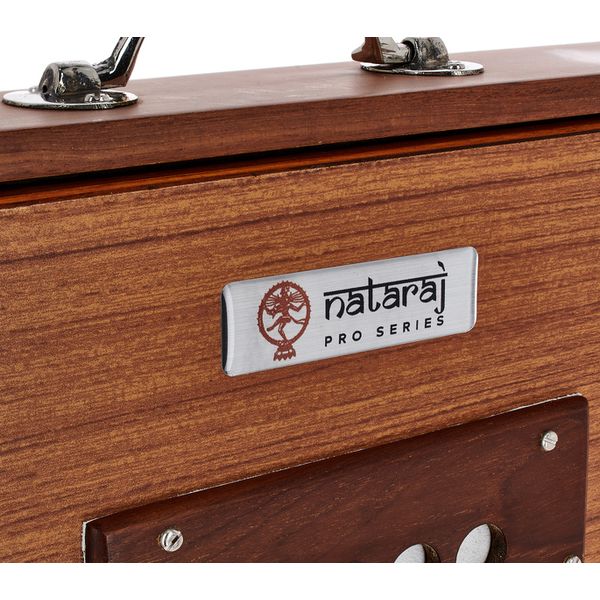 Thomann Nataraj Prof. Shruti Box G-G