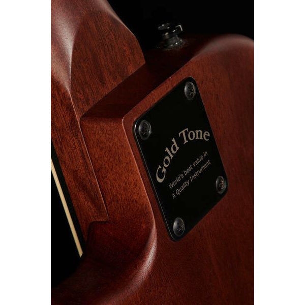 Gold Tone ME-BASS/Fretless