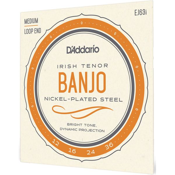 Daddario EJ63i Irish Tenor Banjo Set